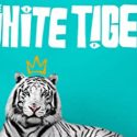 The Majesty (and Mischief) of “The White Tiger” Film Review by Alex Moore